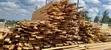 Wood Varieties for Joinery - 2