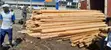 Composite Engineered Wood - 2