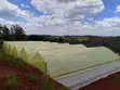 Huduma za Ufungaji wa Greenhouses - 3