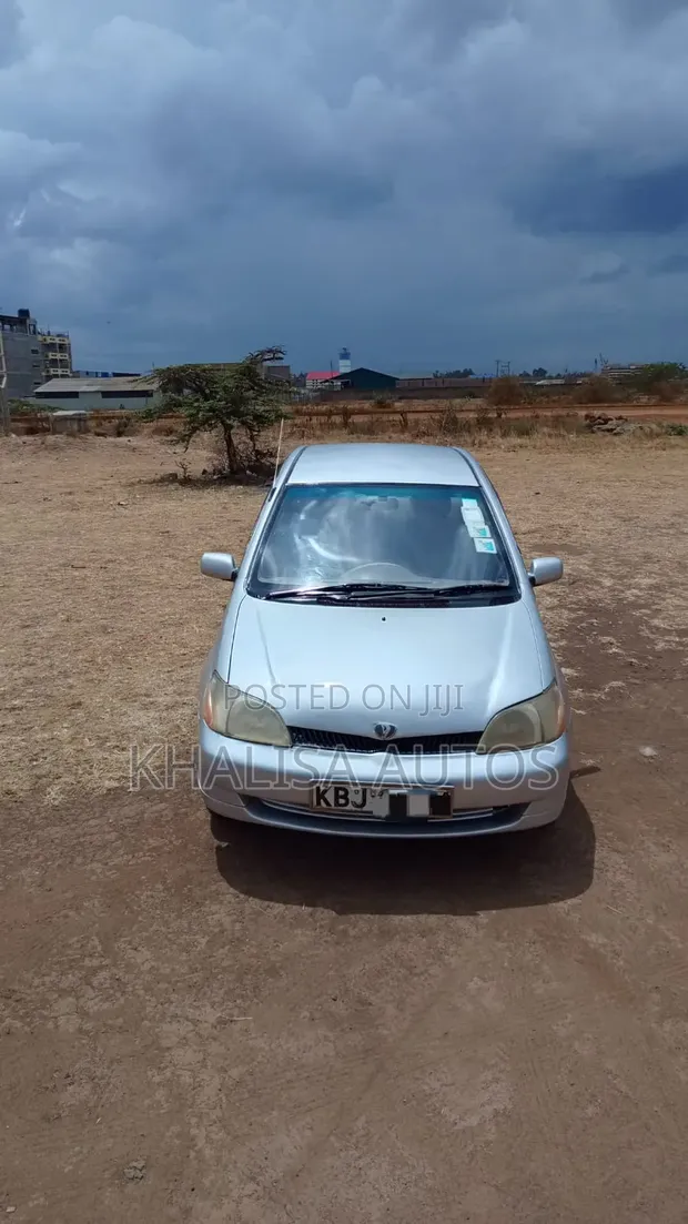 Toyota Platz 2002 Silver - 1