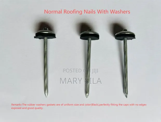 Galvanized Roofing Nails with Washers - 1