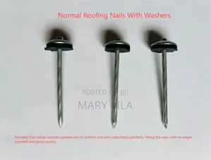 Galvanized Roofing Nails with Washers