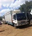Isuzu FRR (Kichwa Ng'ombe) Lori Rigid - 4