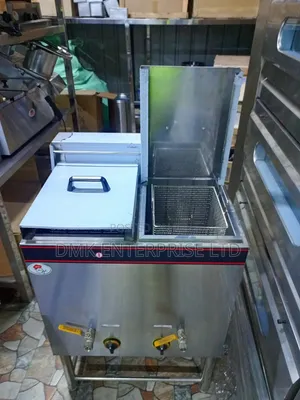 Heavy Duty Stainless Steel Double Gas Fryer
