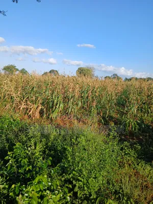 Mavueni Plots for Sale