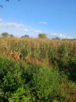 Mavueni Plots for Sale - 1