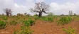 Mavueni Plots for Sale - 5