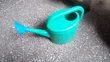 Premier Green Plastic Watering Can with Blue Sprinkler - 2