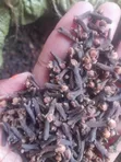 Grade 1 Organic Cloves - 1