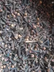 Grade 1 Organic Cloves - 4