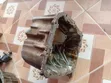 Injini ya KF kwa Daihatsu Mira/Move - 2