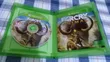 Far Cry Primal - Xbox One - 2