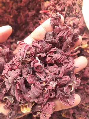 Hibiscus ya Kikaboni