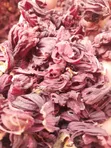 Organic Hibiscus - 2