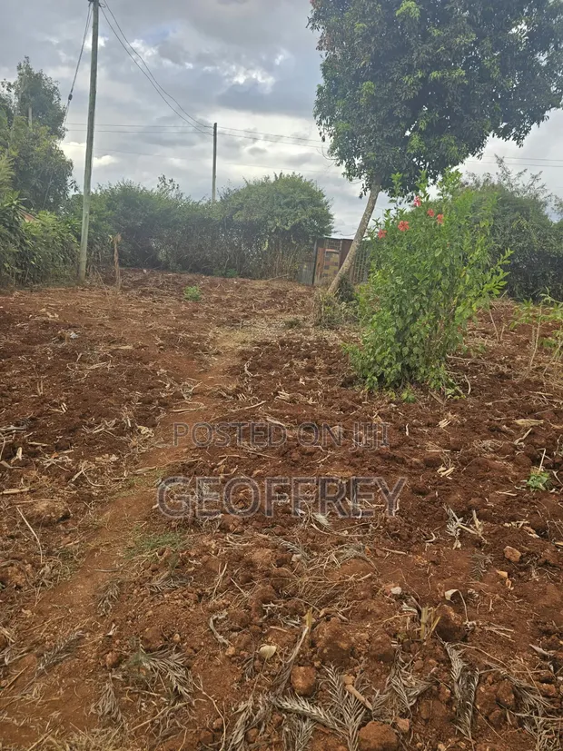 1 Acre Land for Sale on Kenyatta Road, Gatundu - 1