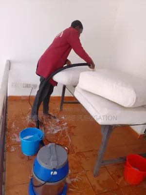 Professional Sofa, Mattress & House Deep Cleaning Services