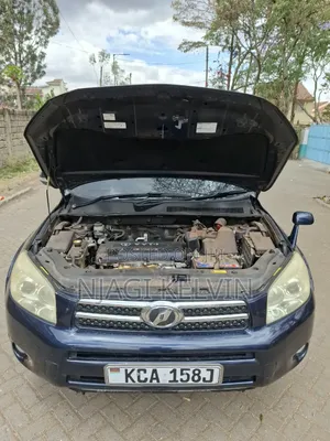 Toyota RAV4 2008 Bluu