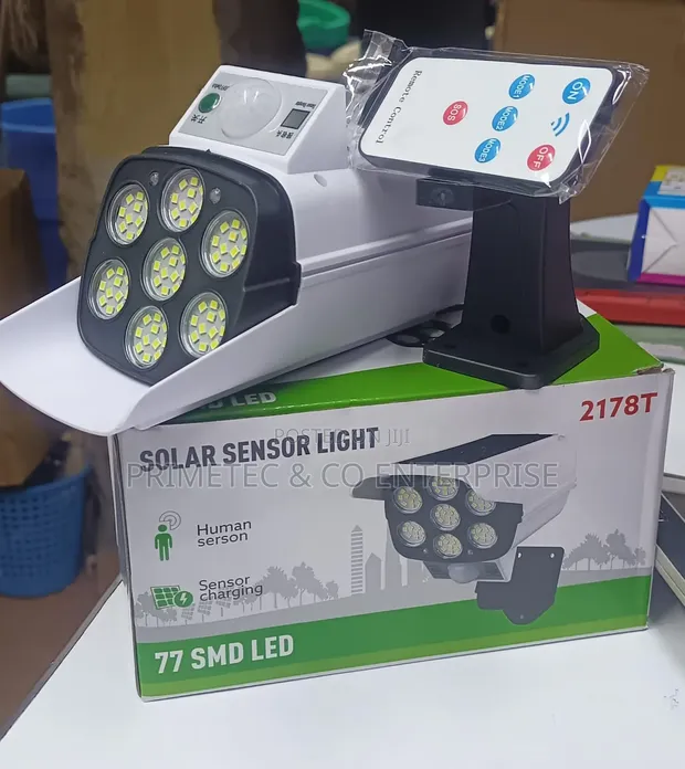 Motion Solar Light Sensor with 3 Modes - 1