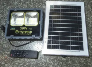 30W TNT Solar Floodlight