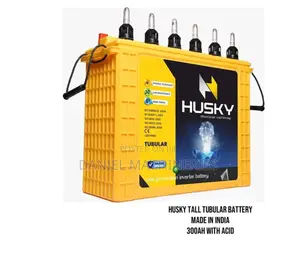 India Husky 300Ah Tall Tubular Battery