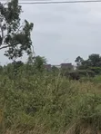 Eneo la Eka 50 kwa Ajili ya Kuuzwa Ruiru Mhasibu - 3