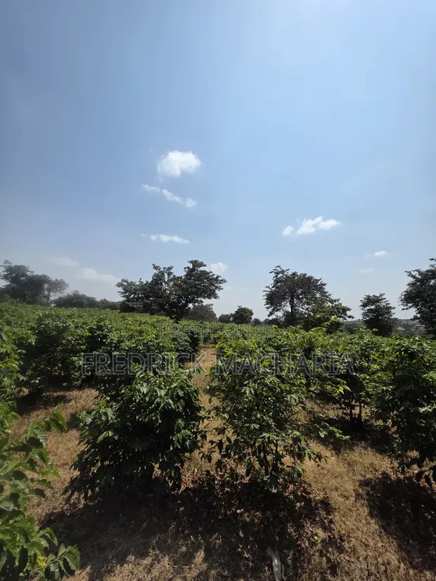 17.5 Acres Land for Sale in Ruiru Town - Tatu City Road - 1