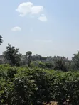 Eneo la Eka 17.5 kwa Uuzaji Ruiru Town - Tatu City Road - 2