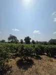 Eneo la Eka 17.5 kwa Uuzaji Ruiru Town - Tatu City Road - 4