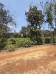 Eneo la Eka 17.5 kwa Uuzaji Ruiru Town - Tatu City Road - 5