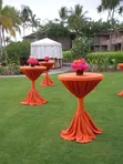 Chairs and Tables for Hire - Riverdale Events - 3