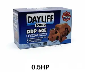 Dayliff Econo DDP 60E Domestic Booster Pump 0.5HP