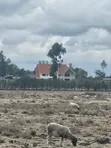 Kitengela Birika 50x100 Residential Plot - 4