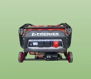 Premier PM2800 2.4kVA Petrol Generator yenye Key Start
