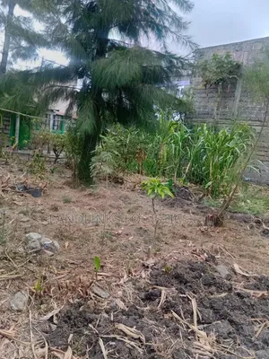 Utawala Plot 120x140 Near Komarock Hospital