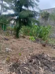 Utawala Plot 120x140 Near Komarock Hospital - 1