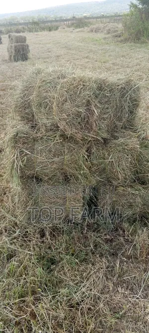 Hay for Sale - KES 190 Per Bale