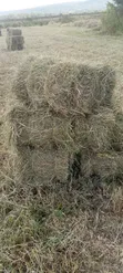 Hay for Sale - KES 190 Per Bale - 1