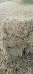 Hay for Sale - KES 190 Per Bale - 2