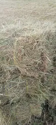 Hay for Sale - KES 190 Per Bale - 4