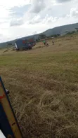 Hay for Sale - KES 190 Per Bale - 5