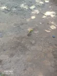 Kiwanja cha Ekari 1 Katani Karibu na Shule ya Msingi Seme - 1