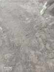 Kiwanja cha Ekari 1 Katani Karibu na Shule ya Msingi Seme - 2