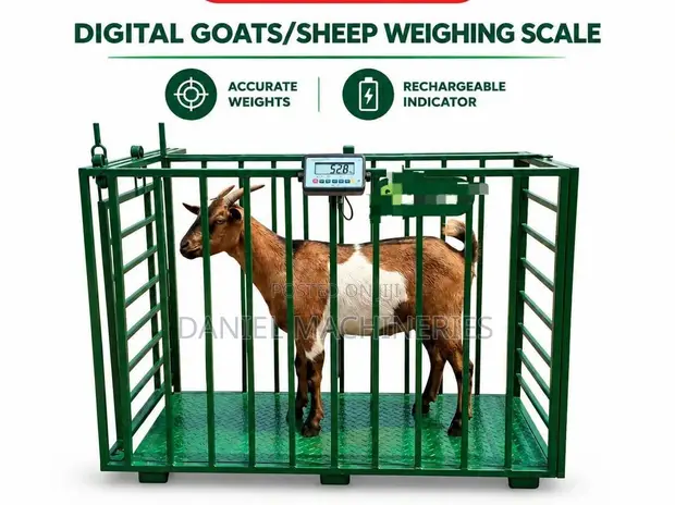 Digital Goat/Sheep Weighing Scale - 1