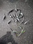 Mercedes-Benz Ambient Temperature Sensor - 2