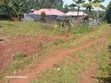 50x100 Plot for Sale in Nakuru - 2