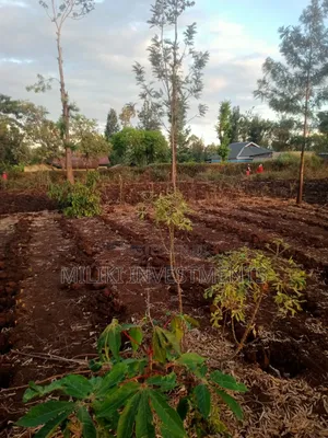Half Acre Land for Sale in Kabati-Kangangu, Murang'a