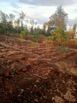 Nusu Eka Ardhi Inauzwa Kabati-Kangangu, Murang'a - 2