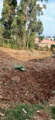 100x100 Plot for Sale, Heshima Drive, Thogoto - 4