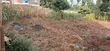 100x100 Plot for Sale, Heshima Drive, Thogoto - 5