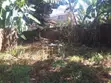 Maisonette ya Vyumba 7 na Sebule ya Wageni Ngong CBD - 3